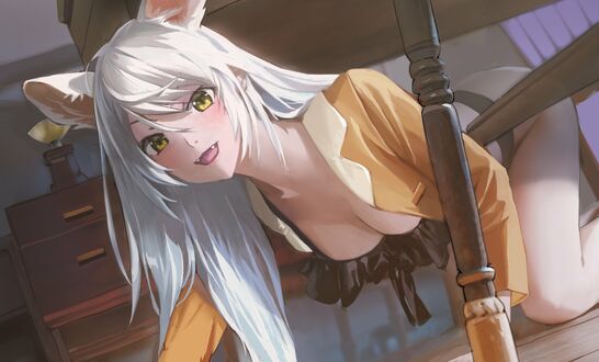 Обои на рабочий стол Hanekawa Tsubasa из аниме Nekomonogatari в облике Черной Ханекавы стоит на четвереньках под столом