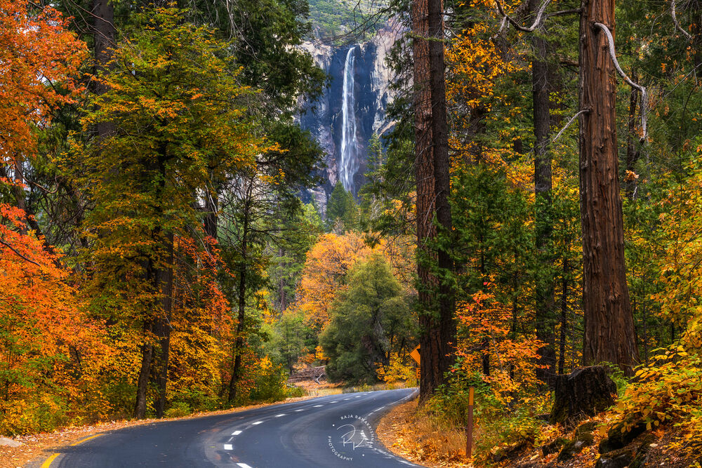 Обои для рабочего стола Дорога к водопаду в Yosemite National Park / Йосемитском национальном парке