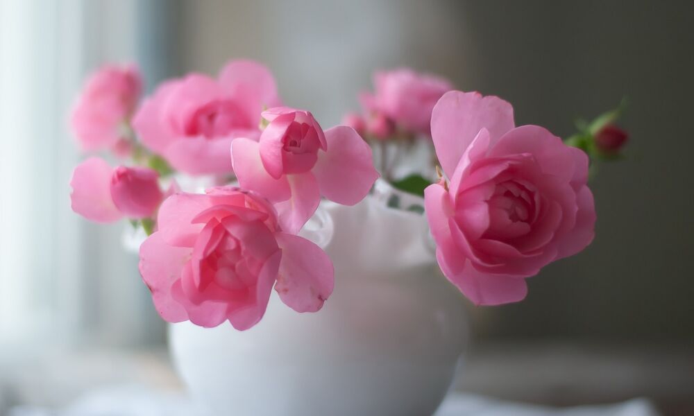 Обои для рабочего стола Кустовые розовые розы в вазе на размытом фоне