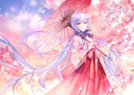 Обои на рабочий стол Vocaloid Stardust (Xingchen) / Вокалоид Стардаст (Синчень) протягивает руку к ветке цветущей сакуры