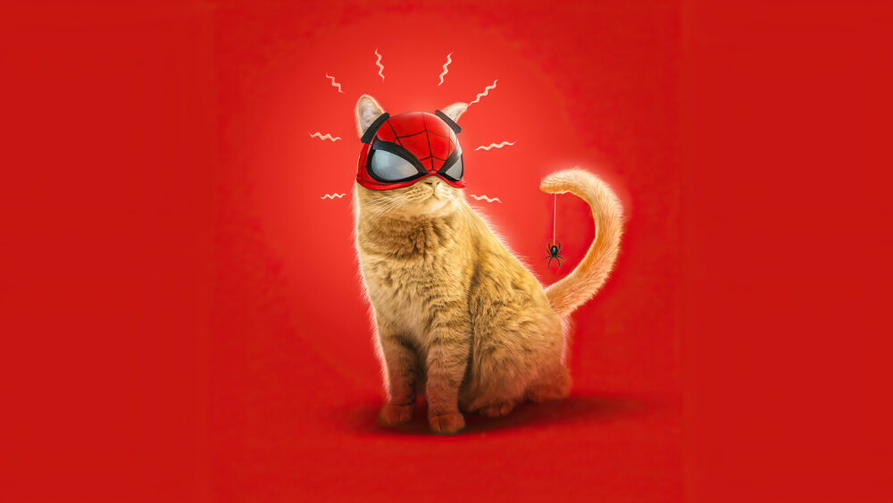 Обои для рабочего стола Рыжий кот в костюме SpiderMan на красном фоне