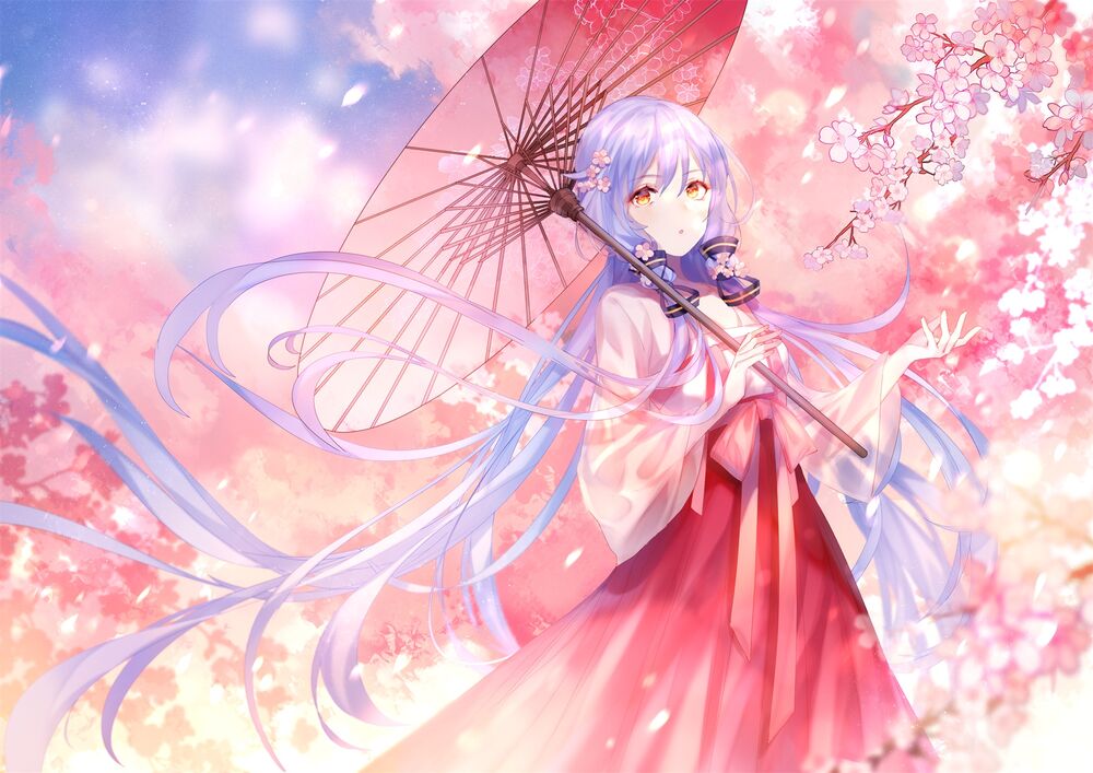 Обои для рабочего стола Vocaloid Stardust (Xingchen) / Вокалоид Стардаст (Синчень) протягивает руку к ветке цветущей сакуры
