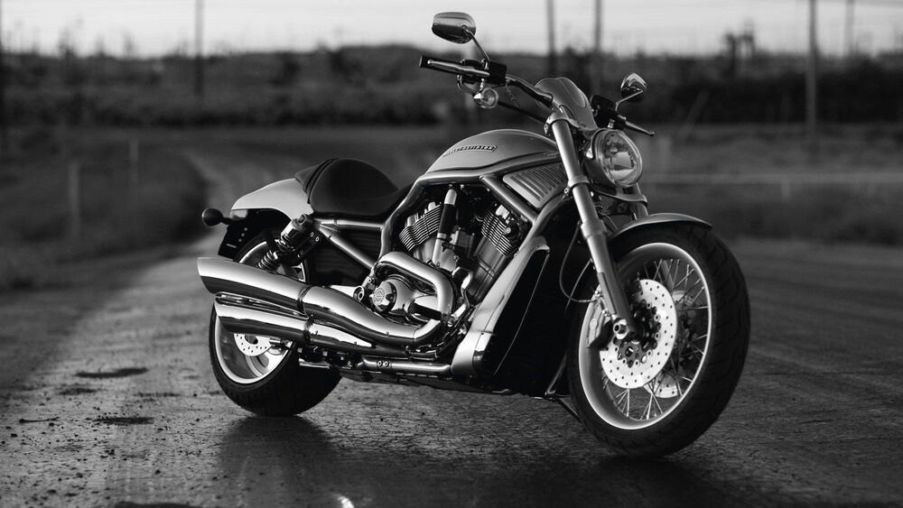 Обои для рабочего стола Мотоцикл Harley Davidson стоит посреди дороги, черно-белое фото