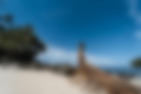 Обои для рабочего стола Обнаженная смуглая девушка Milya / Миля стоит на песчаном пляже держа рукой пожухлый лист пальмы