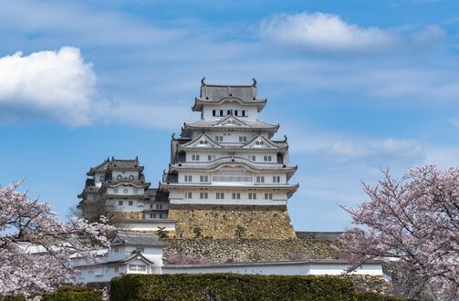 Обои на рабочий стол Замок Химедзи / Himeji на фоне голубого неба среди цветущей сакуры, Япония / Japan