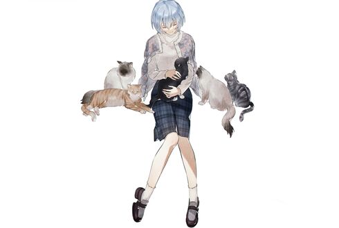 Обои на рабочий стол Рей Аянами / Ayanami Rei из аниме Евангелион / Evangelion с кошками на белом фоне