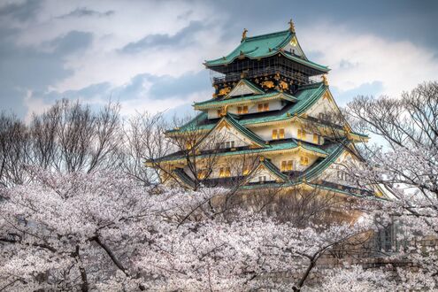 Обои на рабочий стол Феодальный замок в окружении цветущей сакуры, Осака / Osaka, Япония / Japan