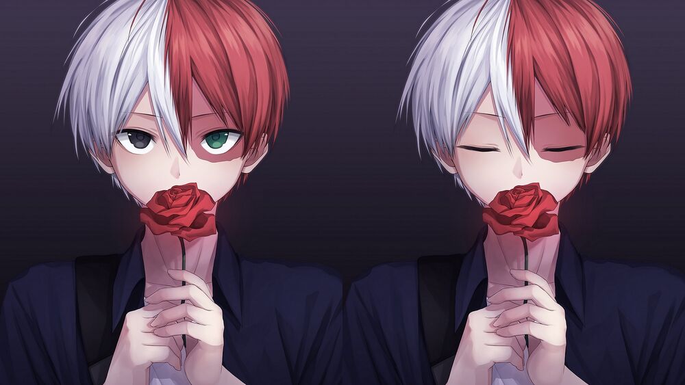 Обои для рабочего стола Shouto Todoroki / Сето Тодороки из аниме Boku no Hero Academia / Моя геройская академия с розой