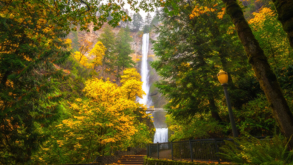 Обои для рабочего стола Водопад Малтномах / Multnomah Falls в осеннем парке в американском штате Орегон