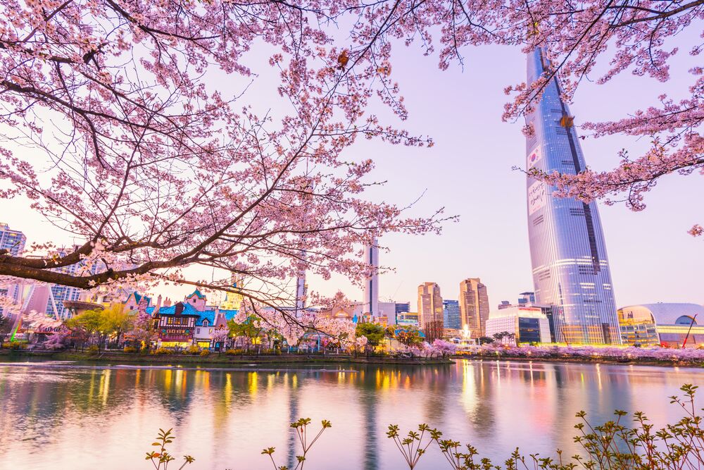 Обои для рабочего стола Весенние цветение и вид на небоскреб в Сеуле / Seoul, Южная Корея / South korea