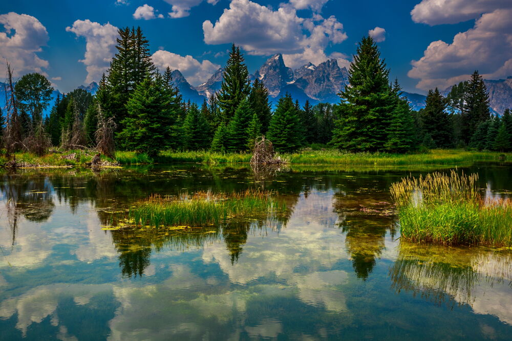 Обои для рабочего стола Grand Teton National Park, Jackson Hole, Wyoming / Национальный парк Гранд-Титон - Центральный заповедник Джексон-Хоул, Вайоминг