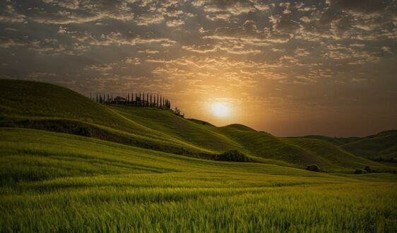 Обои на рабочий стол Закат над зеленеющими холмами, Тоскана, Италия / Toscana, Italy