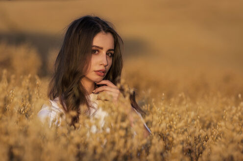 Обои на рабочий стол Девушка Chiara стоит в высокой траве