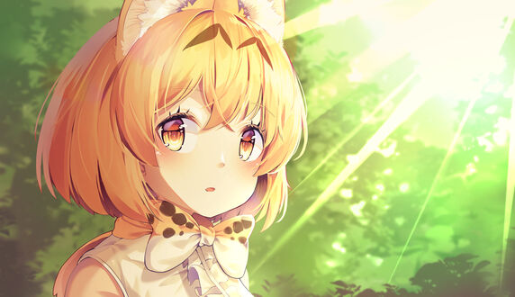 Обои на рабочий стол Serval / Сервал из игры и аниме Друзья-зверушки / Kemono Friends