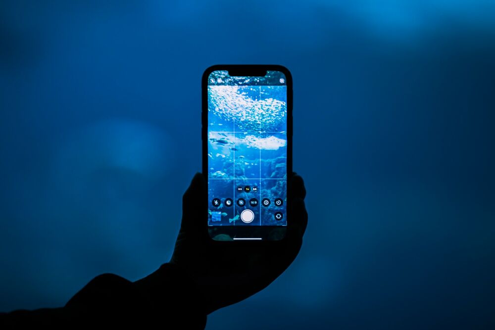 Обои для рабочего стола В руке человека айфон с изображением подводного мира на голубом фоне