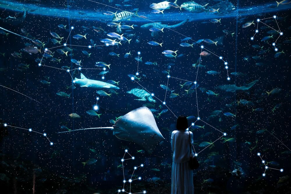 Обои для рабочего стола Девушка стоит перед аквариумом, наблюдая за звездным небом и созвездиями с морскими скатами и рыбками