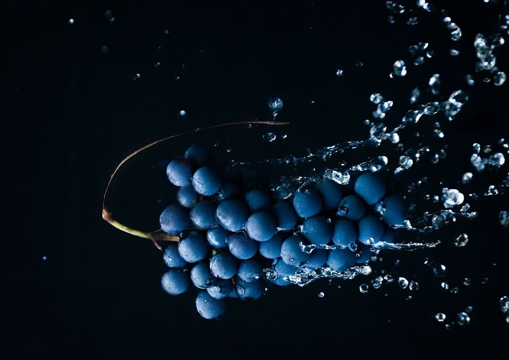 Обои для рабочего стола Кисть винограда с каплями воды на темно-синем фоне