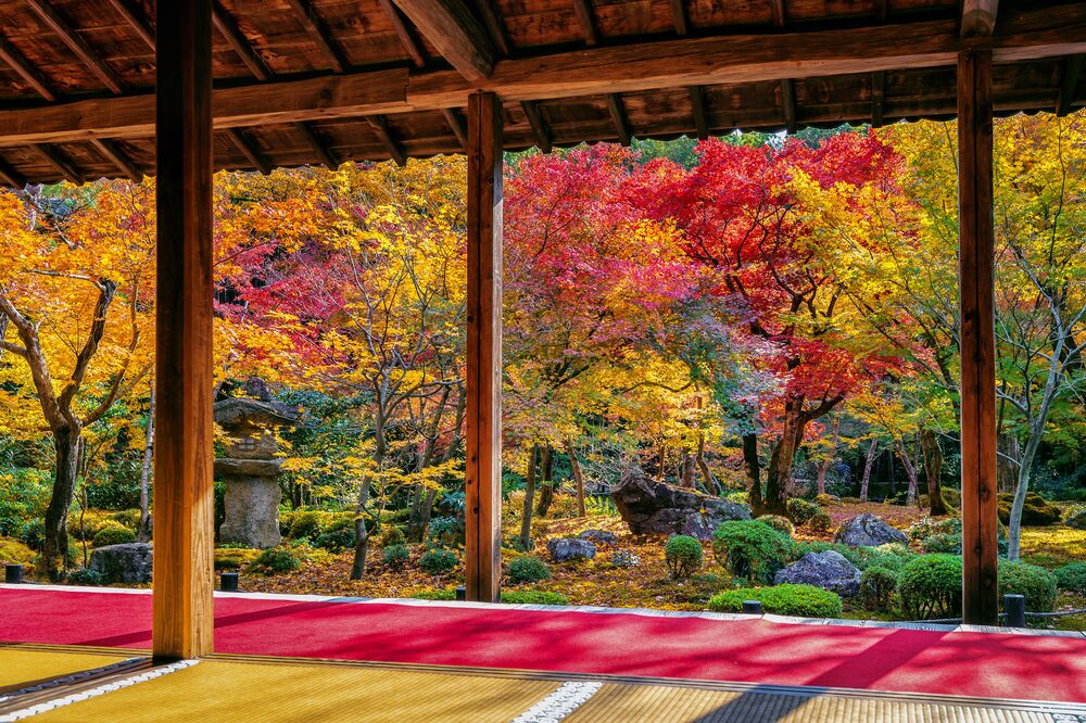 Обои для рабочего стола Открытая веранда с видом на красивый осенний сад в солнечный день, Япония / japan