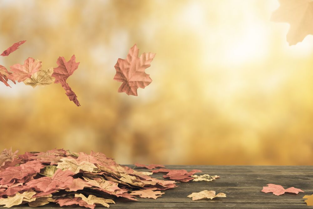 Обои для рабочего стола Желтые осенние листья падают на деревянные доски на размытом фоне