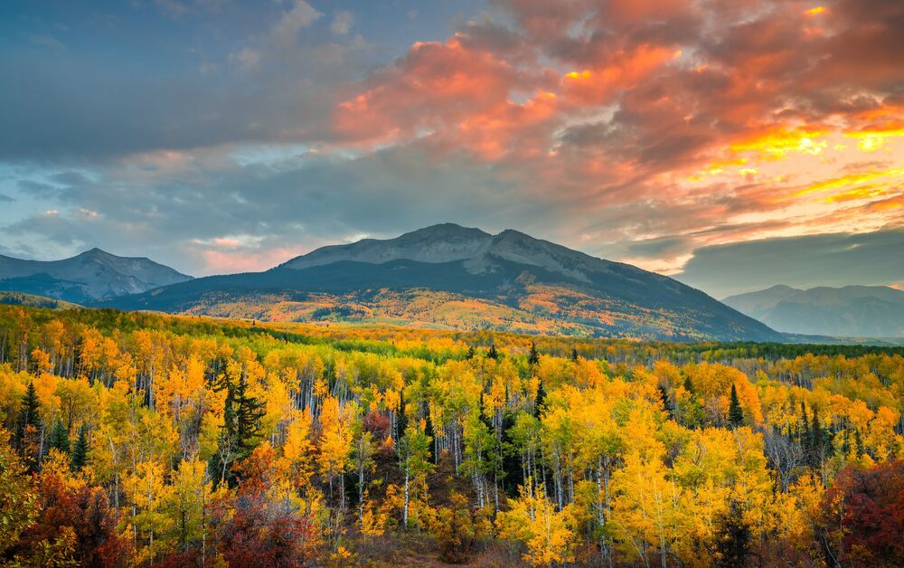 Обои для рабочего стола Kebler Pass Gunnison National Forest Crested, Colorado / Кеблер Пасс Национальный лес Ганнисон, Колорадо