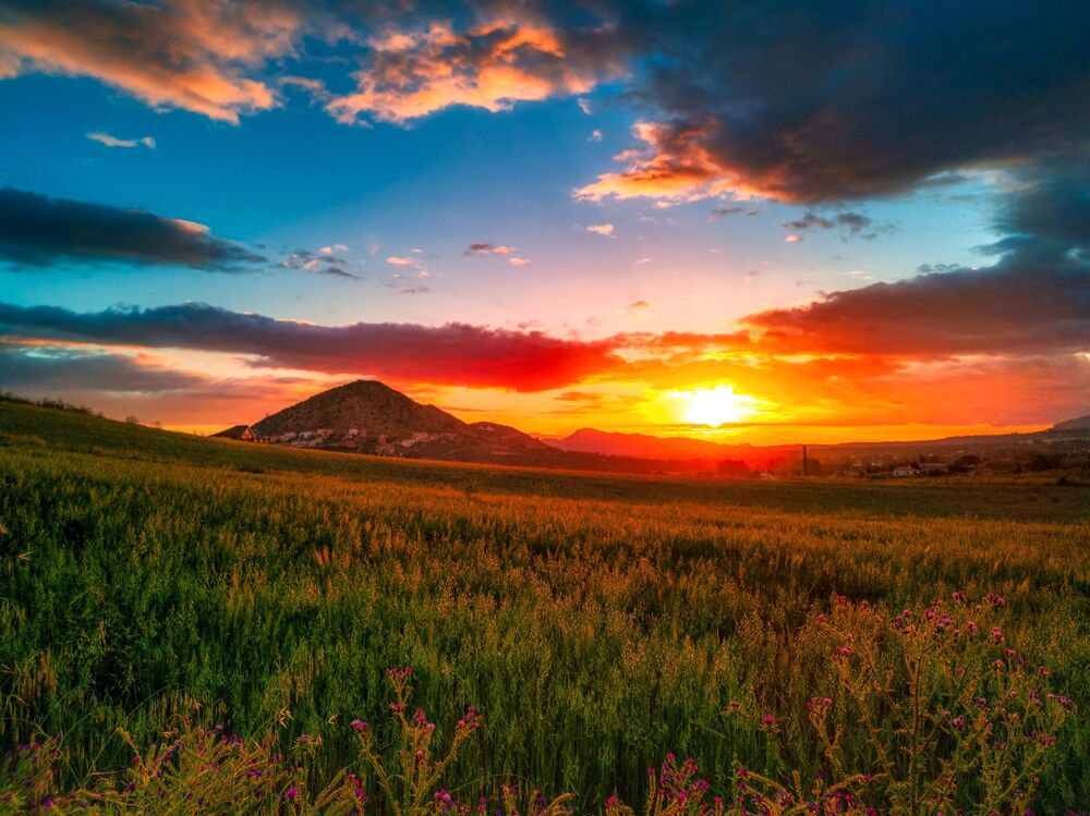 Обои для рабочего стола Равнина заросшая травой и полевыми цветами на фоне гор на закате в Испании