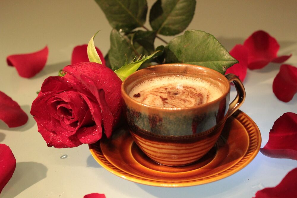 Обои для рабочего стола Чашка кофе на блюдце и бордовая роза