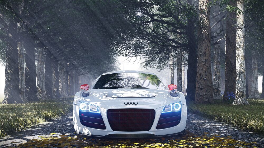 Обои для рабочего стола Автомобиль Audi R8 белого цвета, стоит на лесной дороге в утренних лучах света, пробивающегося сквозь кроны деревьев