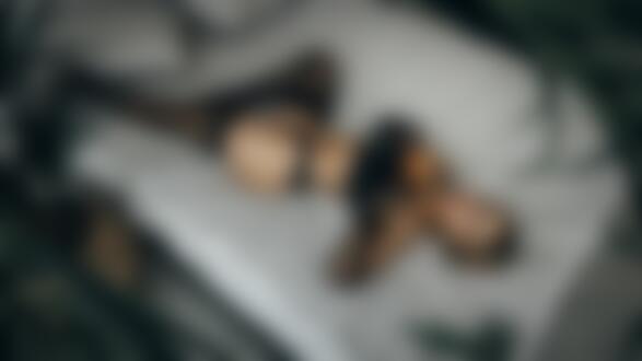 Обои на рабочий стол Модель Екатерина в черном нижнем белье лежит на постели в комнате и держит в руках цветок розы