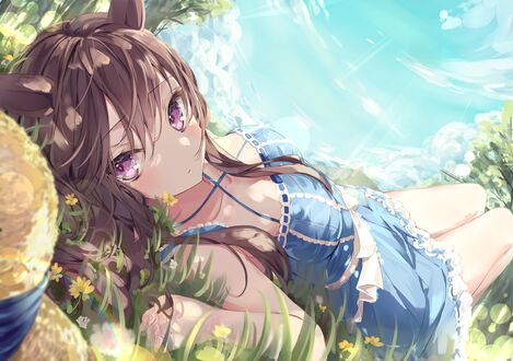 Обои на рабочий стол Mejiro Dober лежит на траве, персонаж из аниме Uma Musume Pretty Derby / Девушки-пони славное дерби