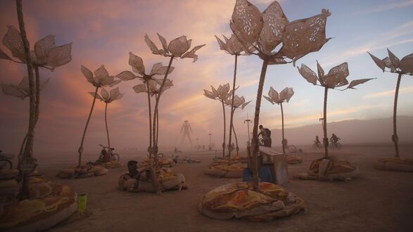 Обои на рабочий стол Фестиваль Burning Man в пустыне. Огромные цветы. Песчаная буря
