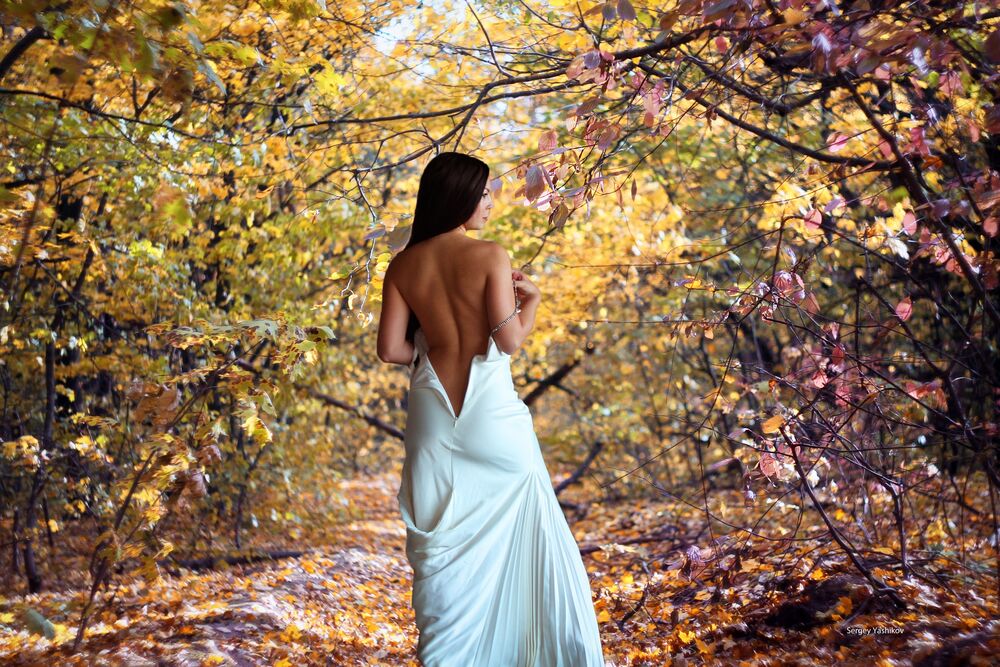 Обои для рабочего стола Брюнетка в расстегнутом длинном светлом платье позирует, стоя спиной к камере в осеннем лесу