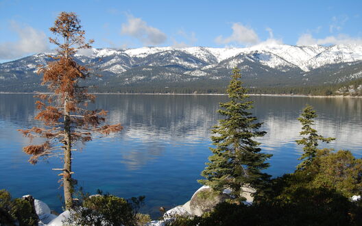 Обои на рабочий стол Пару елок стоят на фоне гор, вокруг озера