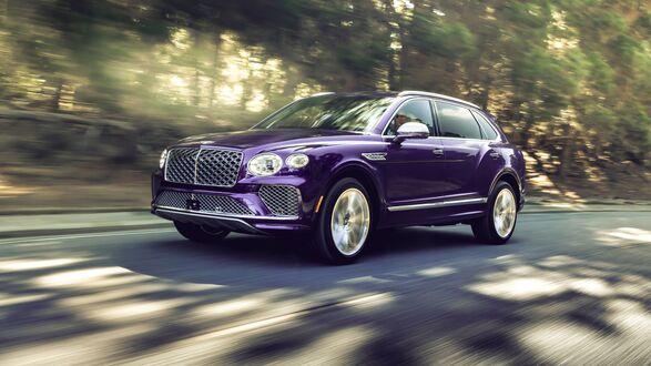 Обои на рабочий стол Сливовая Bentley Bentayga EWB Mulliner 2024 на лесном шоссе