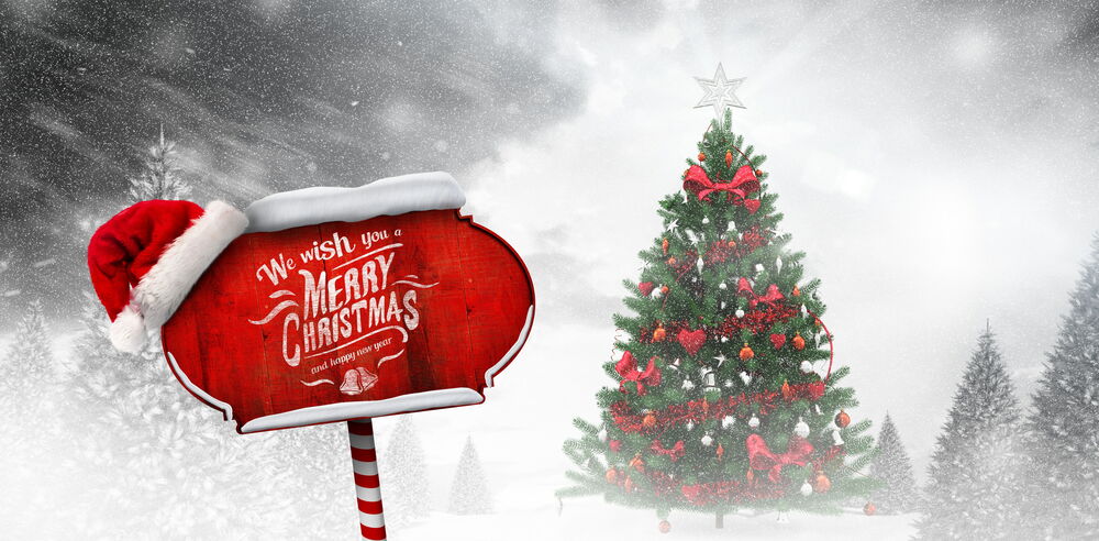 Обои для рабочего стола Надпись на красной табличке We wish you a Merry Christmas and a Happy New Year / Мы желаем вам веселого Рождества и счастливого Нового года, и пышная ель за ней