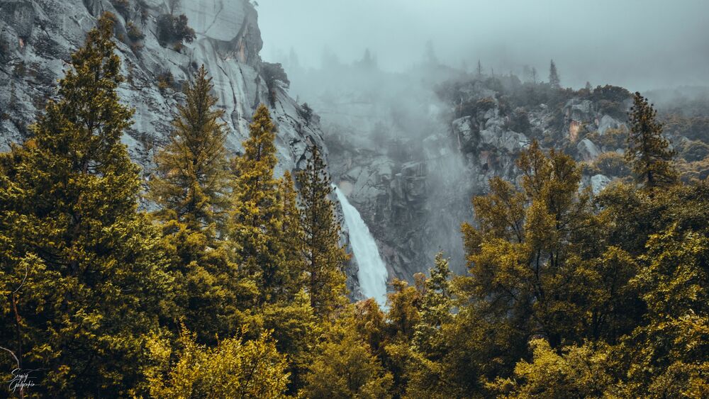 Обои для рабочего стола Деревья на фоне водопада с заснеженной горы