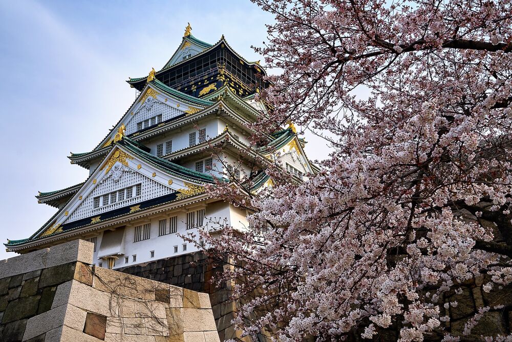 Обои для рабочего стола Цветущая сакура на фоне замка в Осаке / osaka castle, Япония / japan