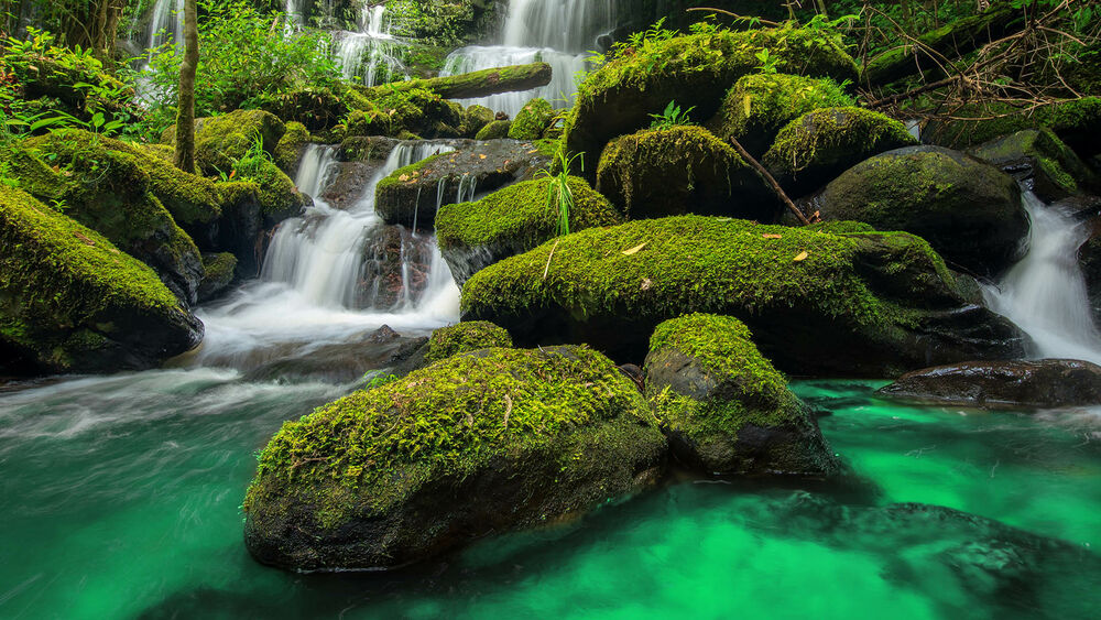Обои для рабочего стола Камни поросшие мхом и водопад в зеленом лесу в джунглях на горе Фу Туб Берк Пхетчабун Таиланд