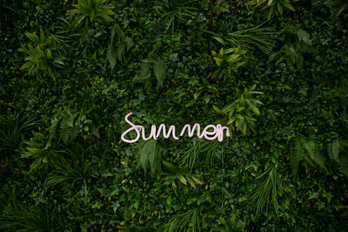 Обои на рабочий стол Неоновая подсветка Summer / Лето на фоне зеленый листвы