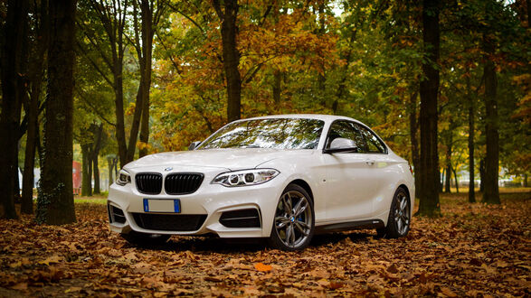 Обои на рабочий стол Белый BMW M4 в осеннем парке