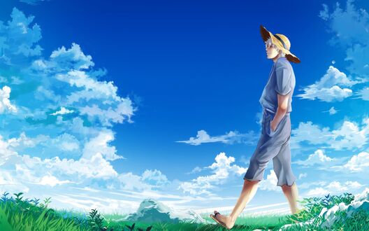 Обои на рабочий стол Гинтоки Саката из аниме Гинтама / Gintoki Sakata, Gintama идет по зеленой поляне
