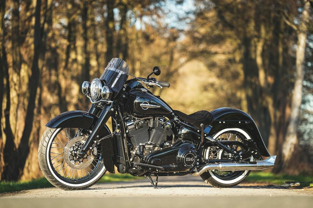 Обои для рабочего стола Мотоцикл Harley Davidson стоит на лесной дороге