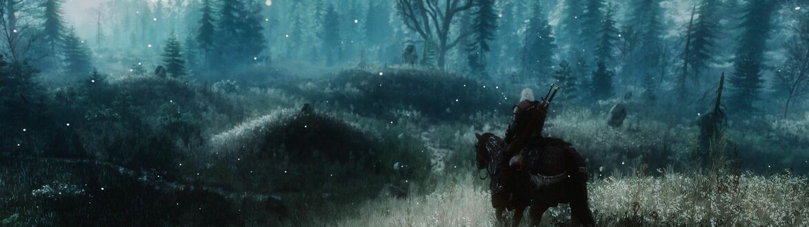 Обои на рабочий стол Лесной ландшафт с легким туманом и Геральт из Ривии / Geralt z Rivii из игры Ведьмак 3: Дикая Охота / The Witcher 3: Wild Hunt верхом на лошади