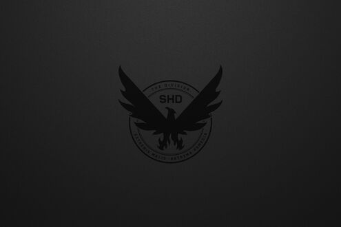 Обои на рабочий стол Логотип SHD на сером фоне из игры The Division