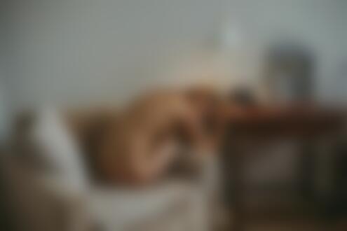 Обои на рабочий стол Обнаженная модель Екатерина сидит на кресле в комнате, положив руки и голову на стол