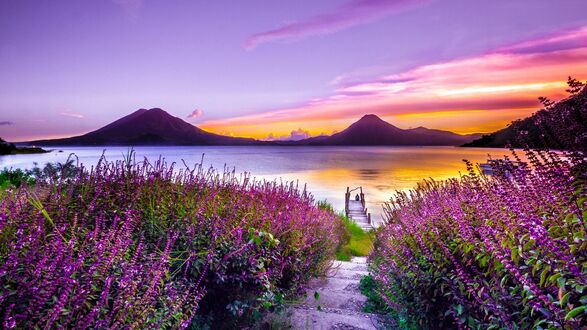 Обои на рабочий стол Озеро Атитлан / Lake Atitlan, Гватемала, на закате, окружено цветущими кустарниками и вулканами на фоне неба с облаками