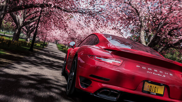 Обои на рабочий стол Красный Porshe 911 Turbo едет по аллее с Сакурой из игры Форза / Forza Horizon 2