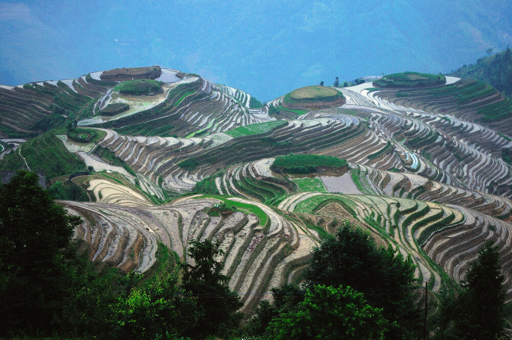 Обои для рабочего стола Гуйлинь / Guilin, Китай / China. Многочисленные террасные поля, наполненные водой и зеленой растительностью, покрывают склоны холмов, на фоне голубого неба с дымкой