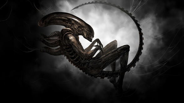 Обои на рабочий стол Чужой / Alien из фильма Чужой / Alien висит, свернувшись, с длинным хвостом, образующим полукруг, на фоне дыма