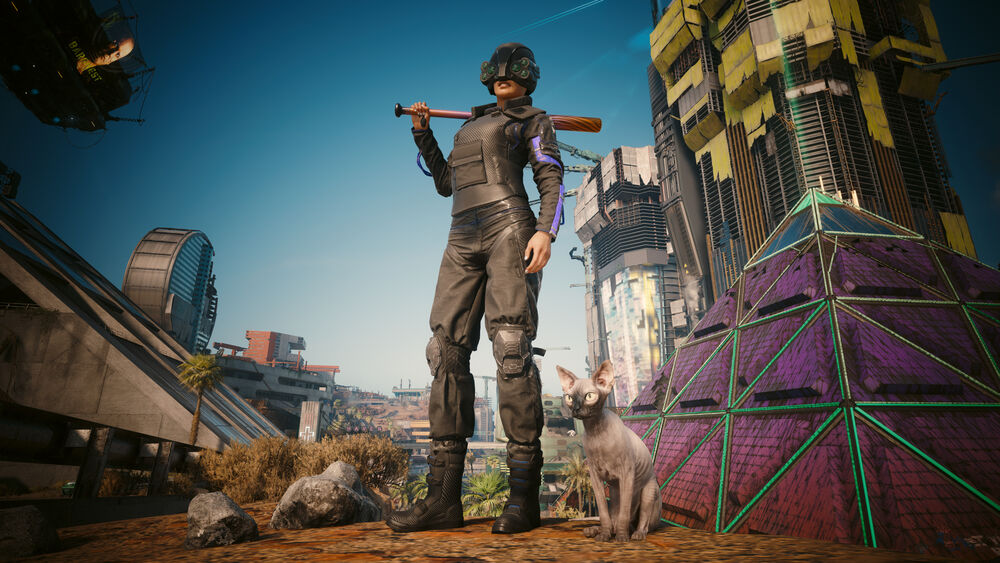 Обои для рабочего стола Найт-Сити / Night City, США / USA, из игры Киберпанк 2077 / Cyberpunk 2077, район Догтаун / Dogtown, персонаж V в футуристическом костюме со шлемом держит бейсбольную биту, рядом сидит серый кот сфинкс на фоне разрушенных зданий и голубого неба