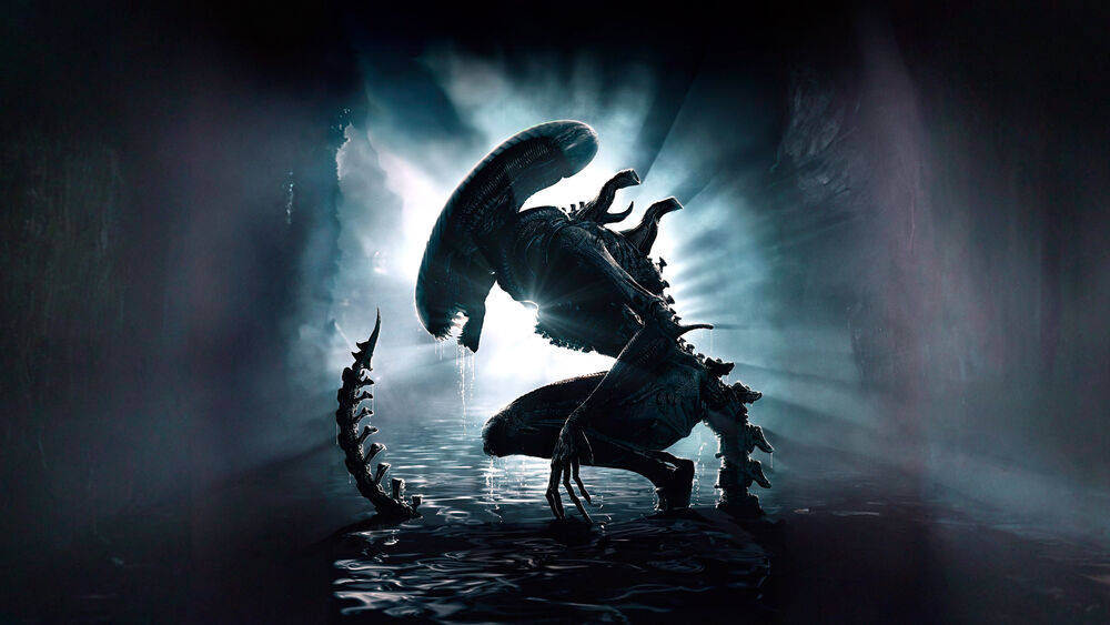 Обои для рабочего стола Чужой / Alien из фильма Чужой / Alien в темном помещении, присел на мокрой поверхности, на фоне ярких лучей света, пробивающихся сквозь темноту
